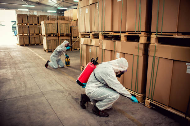 Best Pest Inspection Near Me  in Philipsburg, MT