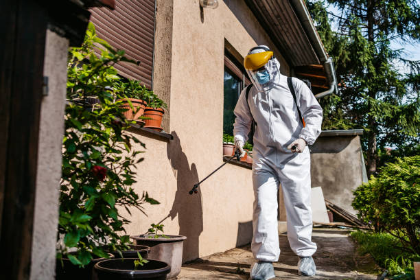 Best Affordable Pest Control Services  in Philipsburg, MT