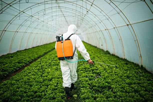 Best Commercial Pest Control Services  in Philipsburg, MT