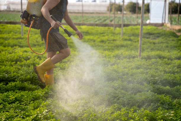 Best Best Pest Control Companies  in Philipsburg, MT